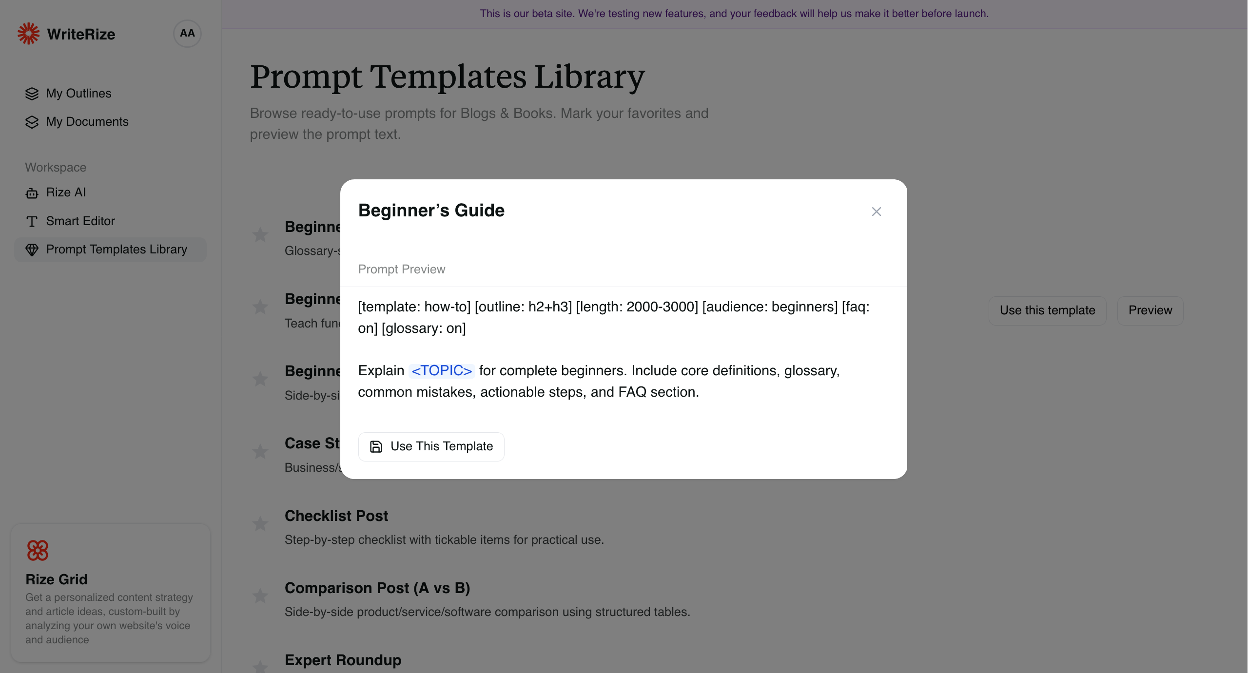 WriteRize Dashboard Preview 2