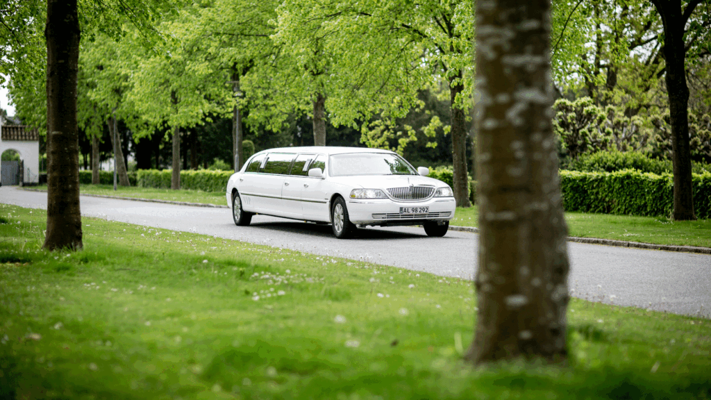 White limousine, How Much Does a Limo Cost for rent.