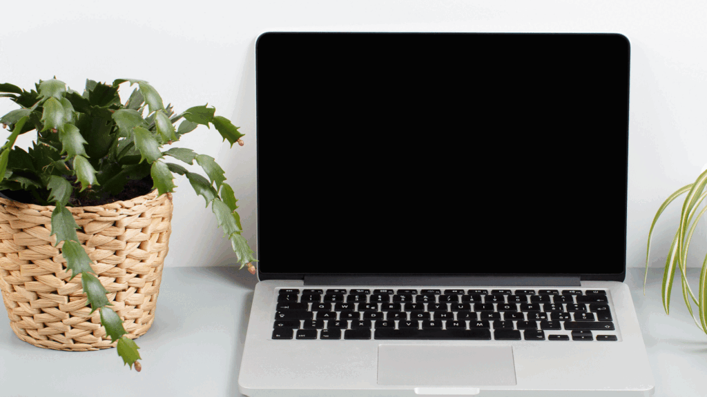 Laptop placed on table with plant pot,Get a Free Laptop from amazon