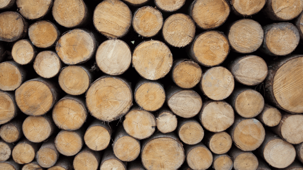 Stack Of A Cord Wood.